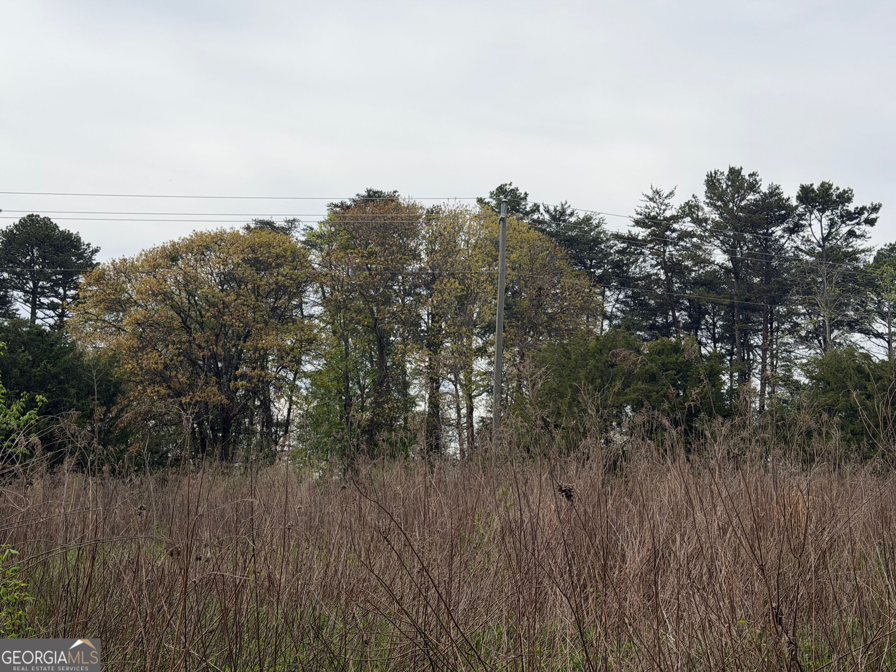 0 N County Line Road Property Photo 38