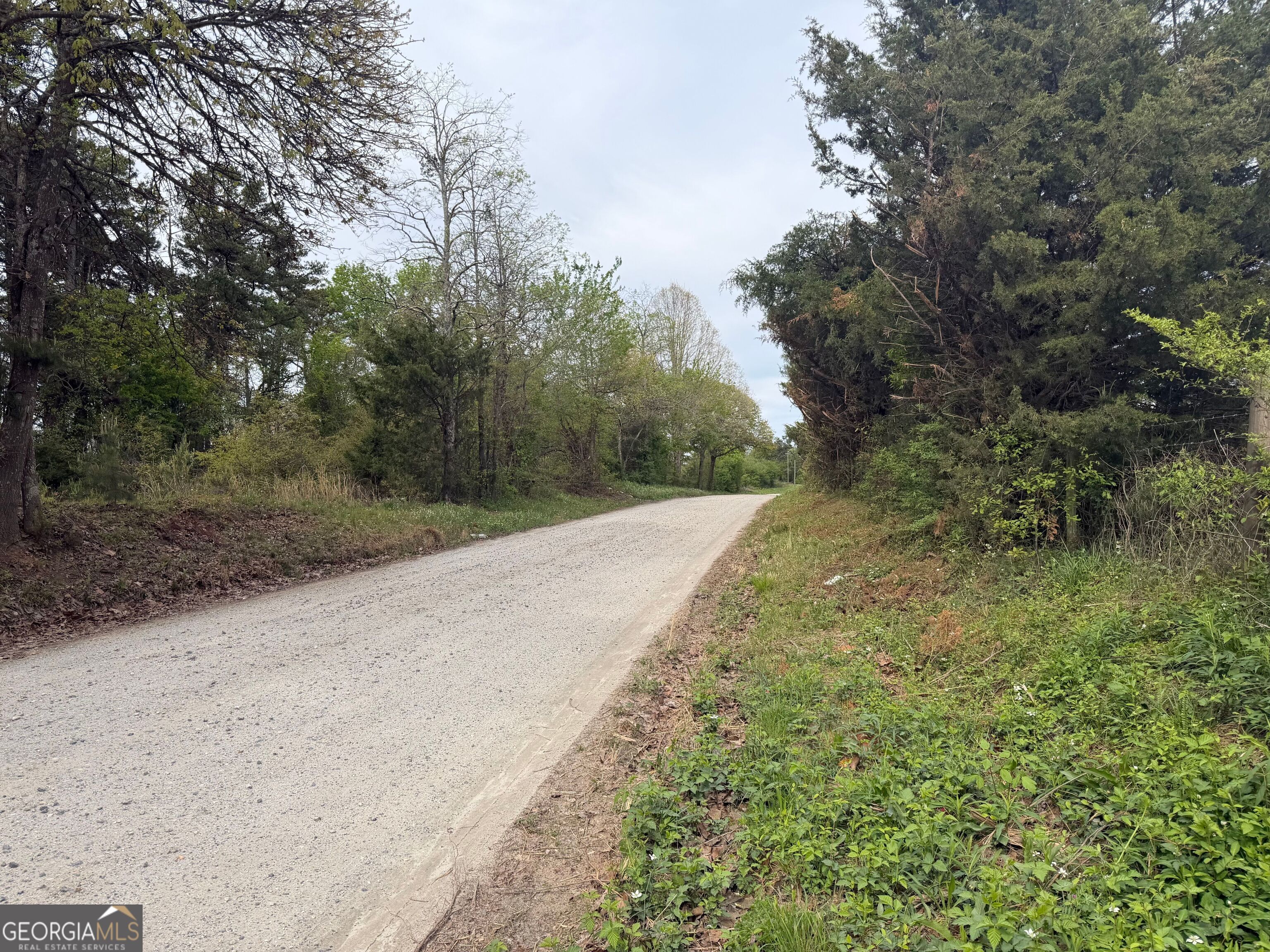 0 N County Line Road Property Photo 40