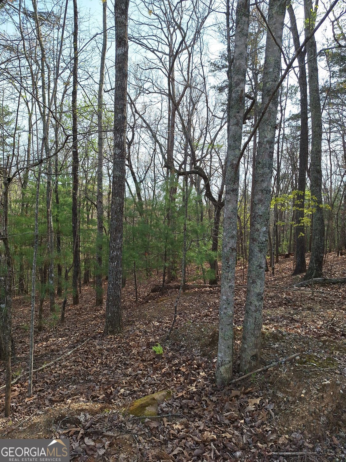 0 Mull Lane Circle