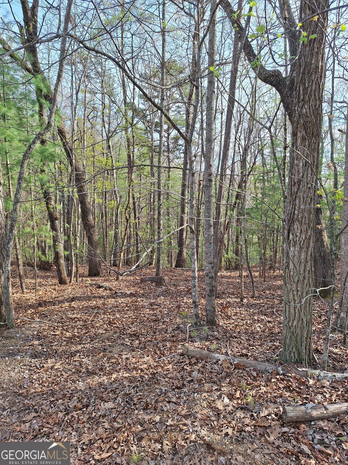 0 Mull Lane Circle Property Photo 2