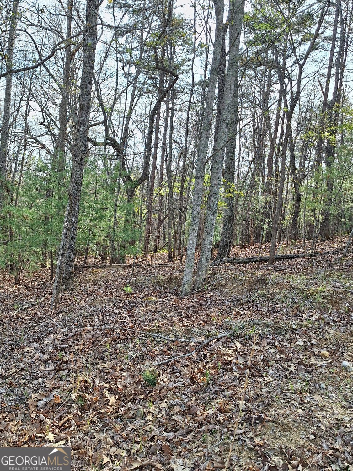 0 Mull Lane Circle Property Photo 6