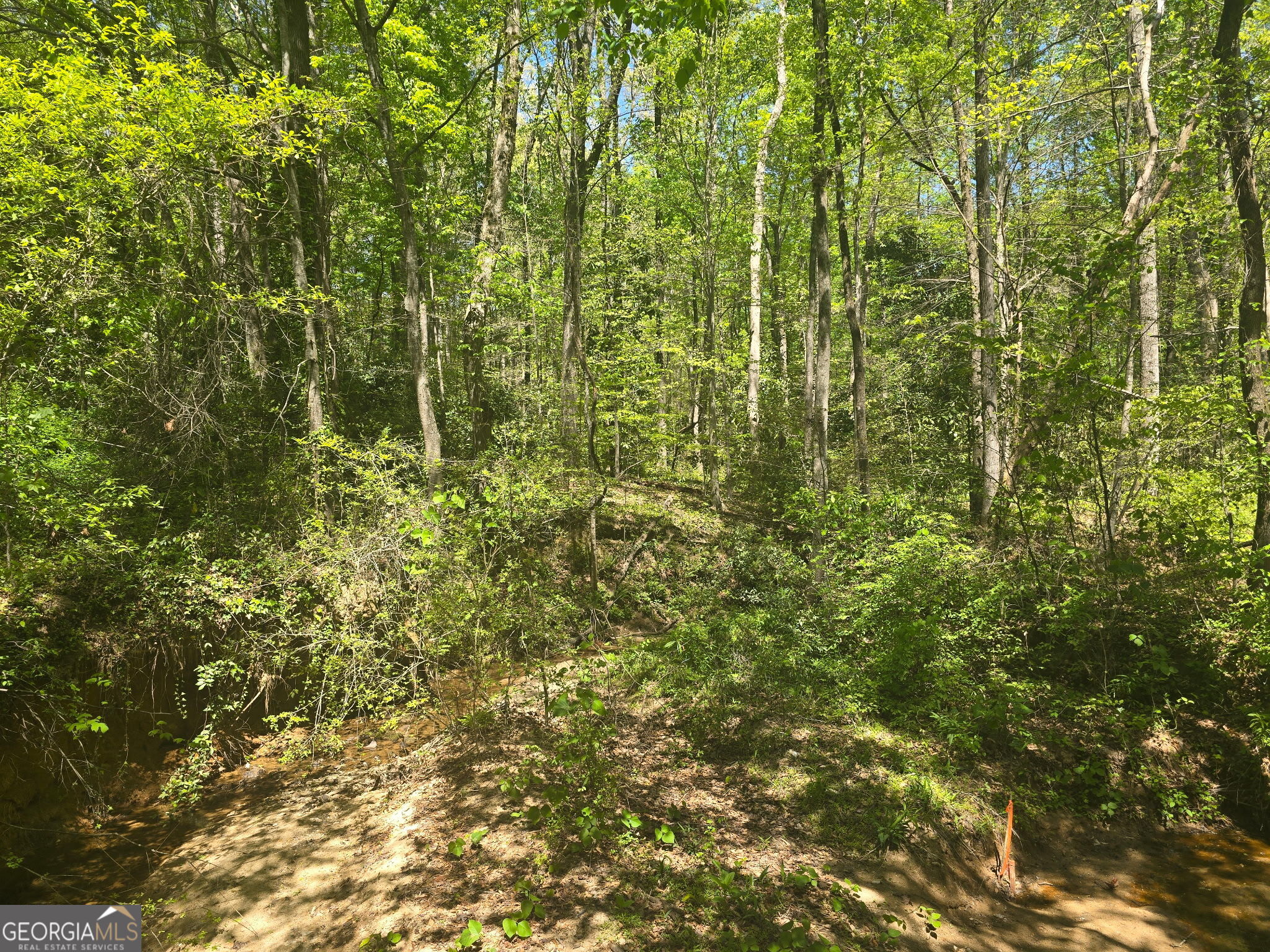 0 Hilltop Lane Property Photo 3