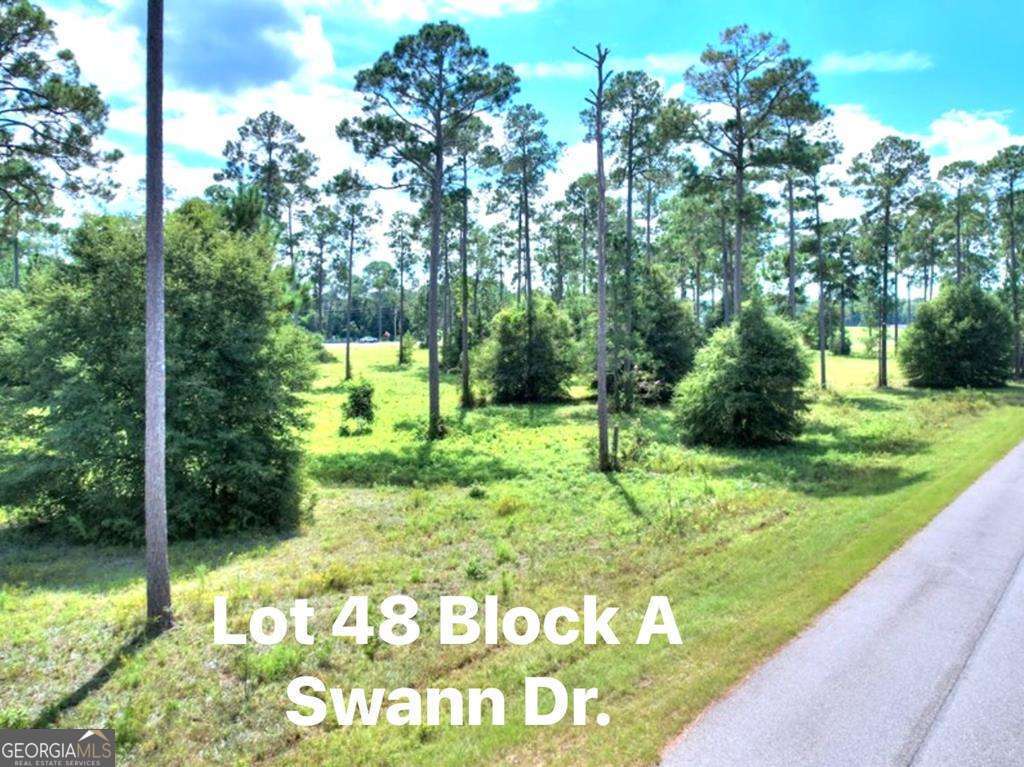 0 Swann Dr Lot 48 Block A Property Photo 5