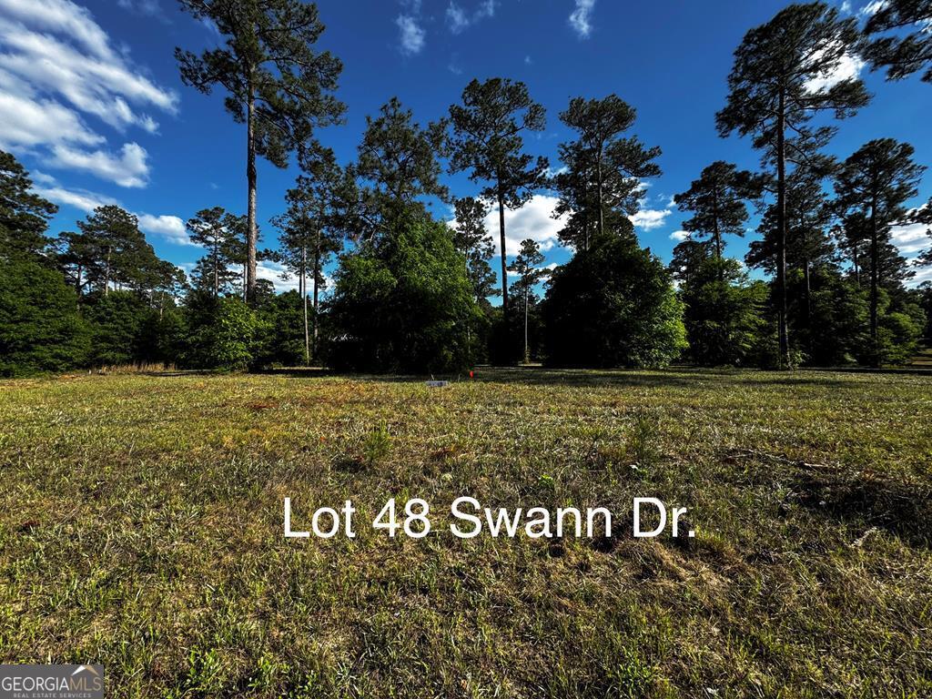 0 Swann Dr Lot 48 Block A Property Photo 11