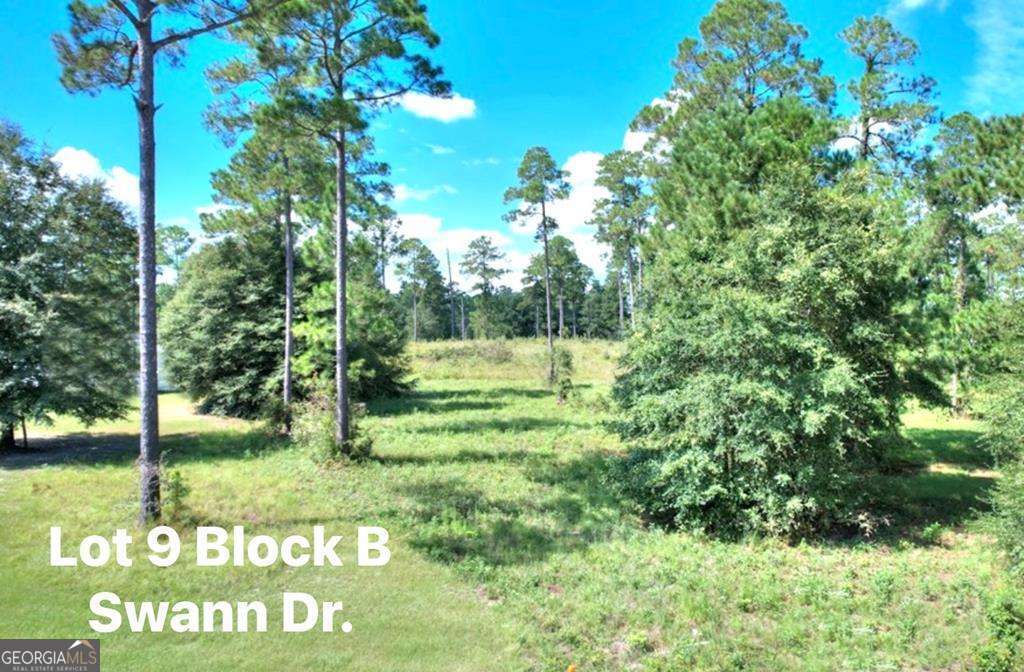 0 Swann Dr Lot 9 Block 9 Property Photo 1
