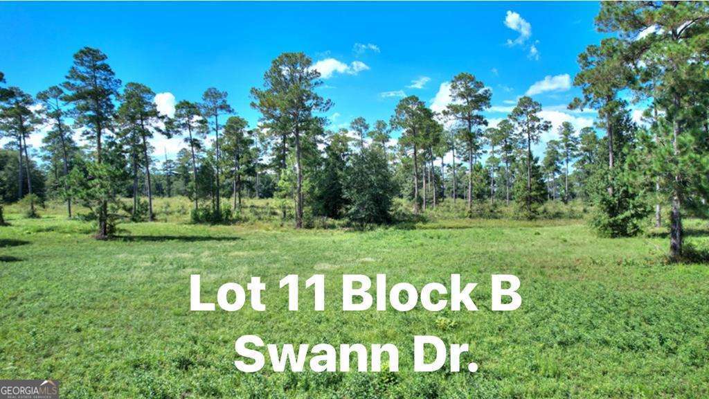 0 Swann Dr Lot 11 Block B Property Photo 1