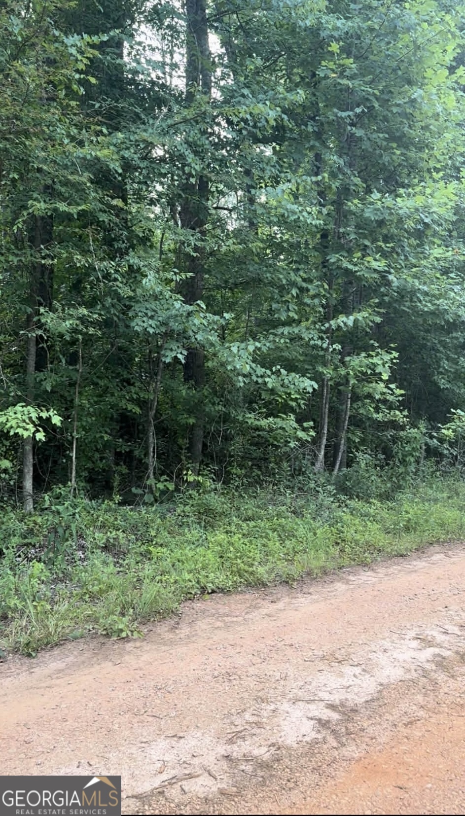 0 Morris Trail Lot 2 Property Photo 2