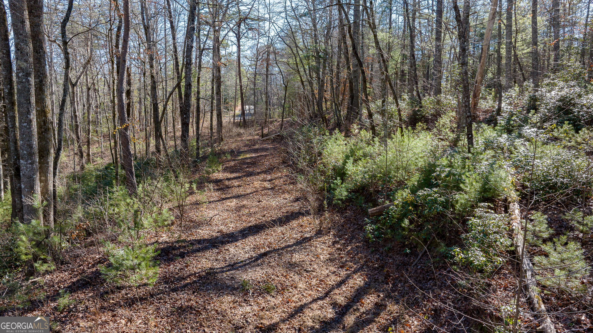 0 Highway 356 Property Photo 11