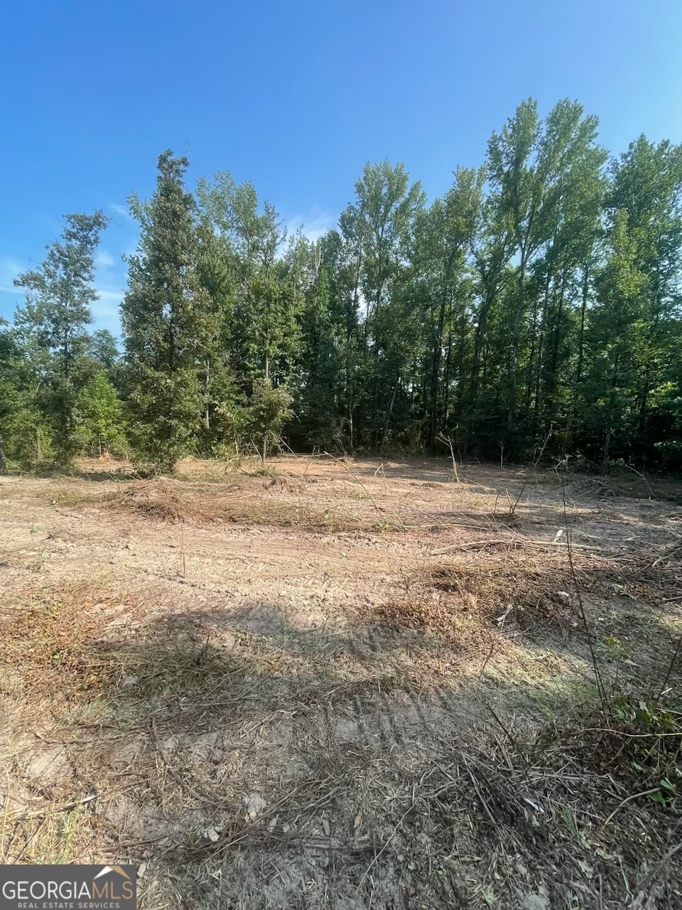 815 Aj Irvin Property Photo 6