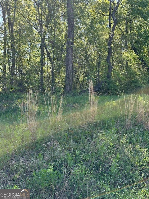 815 Aj Irvin Property Photo 10