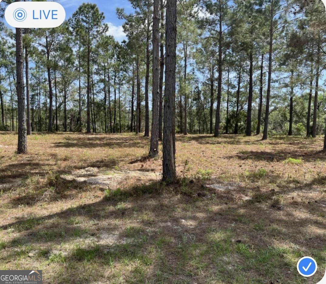 135 Beacon Pointe Parkway Property Photo 1