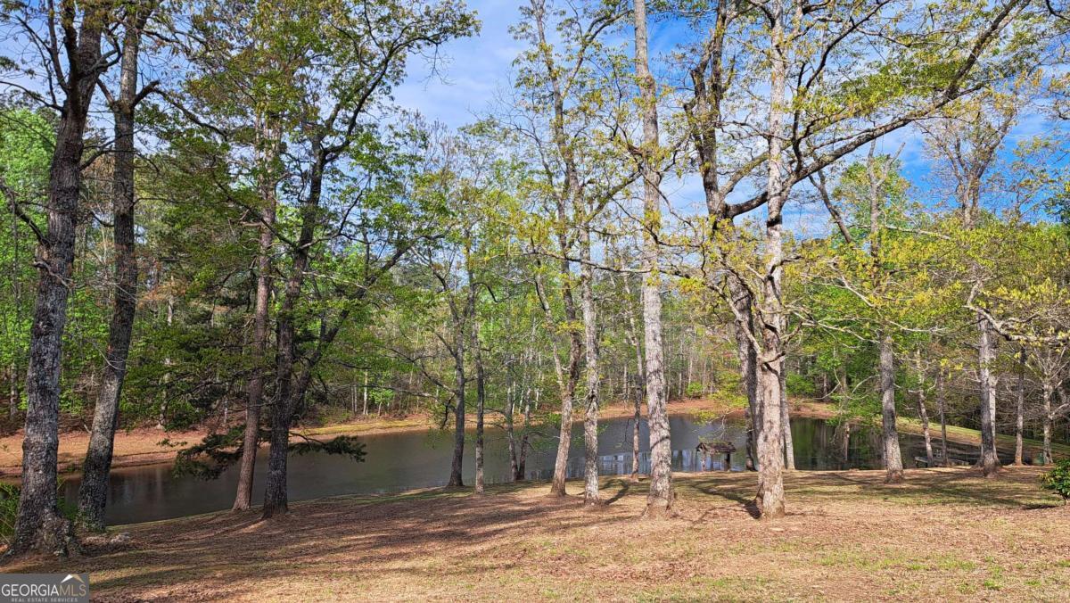 112 Brannon Road Property Photo 37