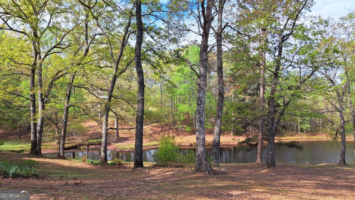112 Brannon Road Property Photo 38