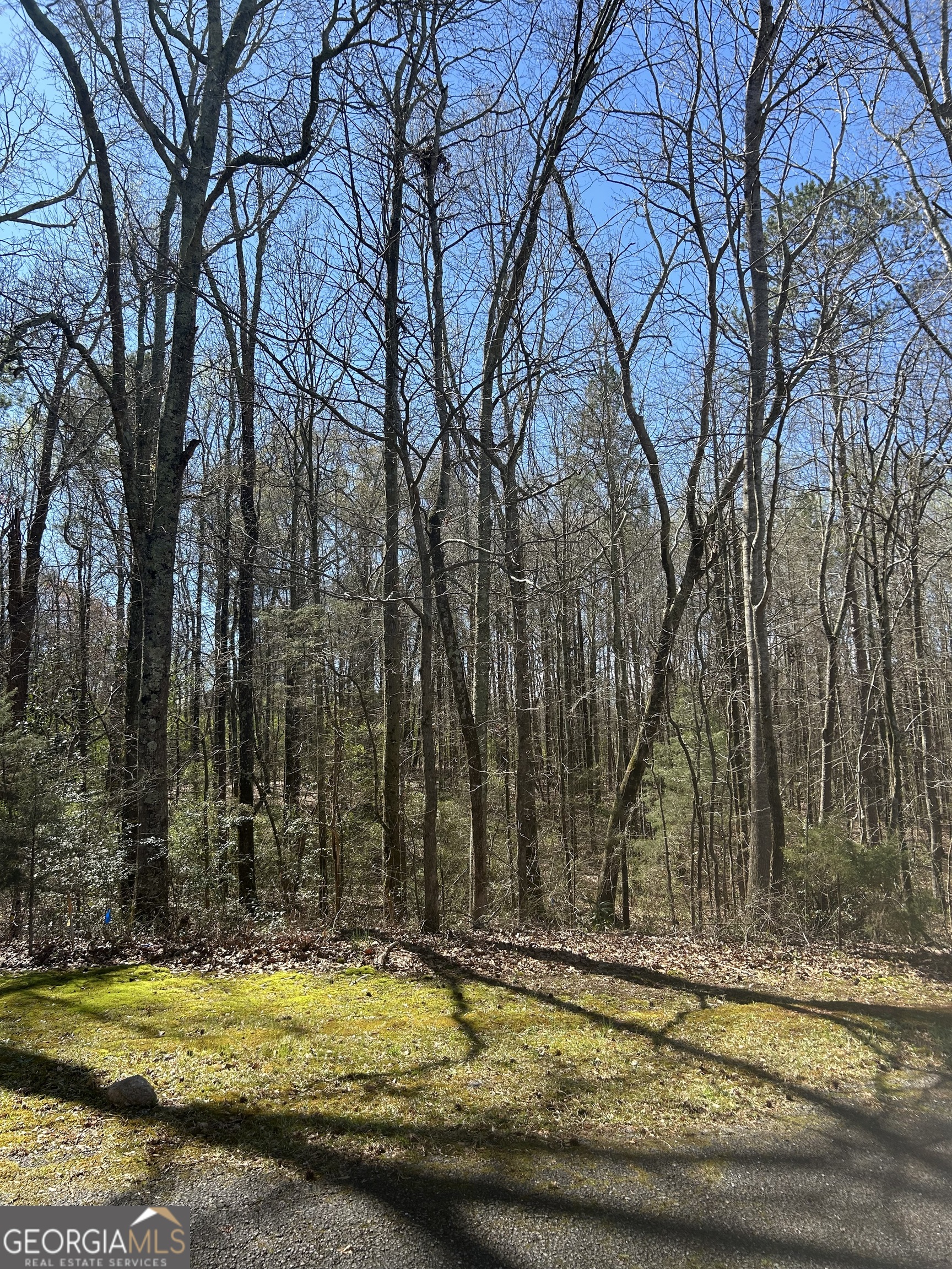 0 Harts Mill Road Property Photo 2