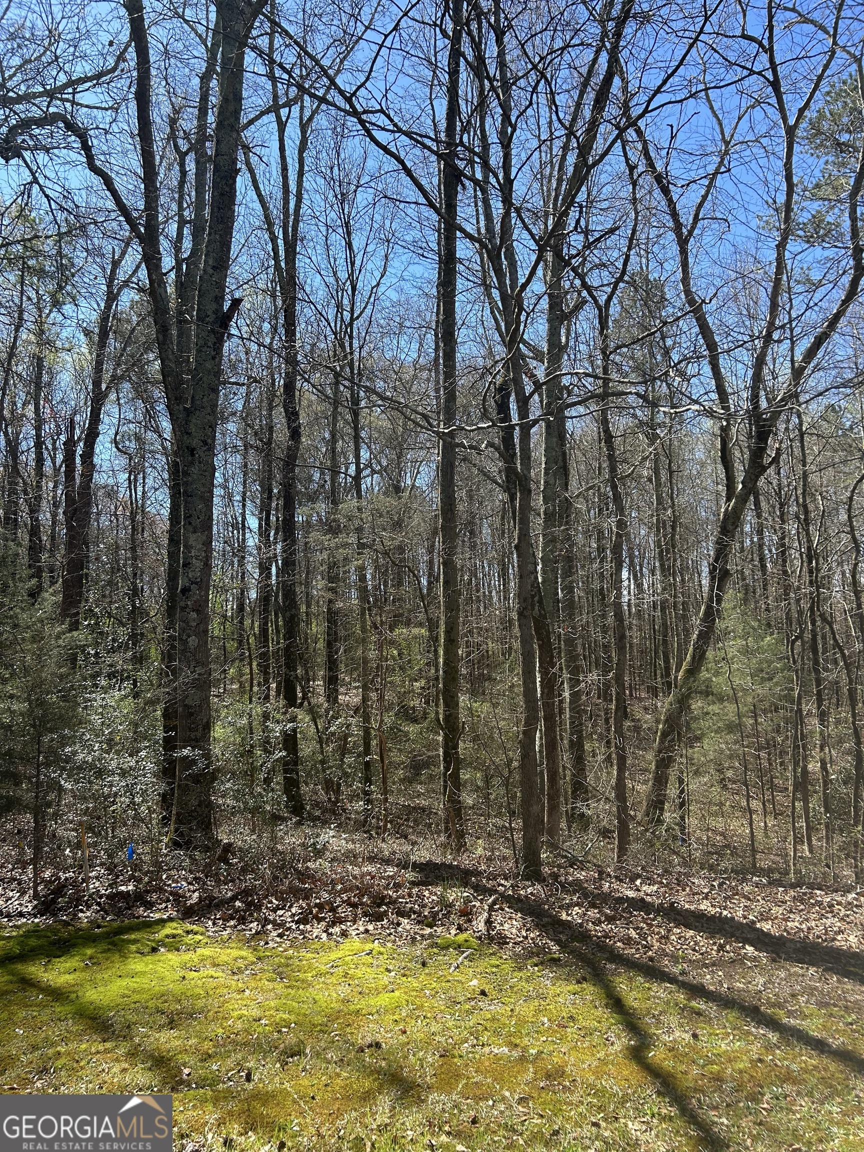 0 Harts Mill Road Property Photo 3