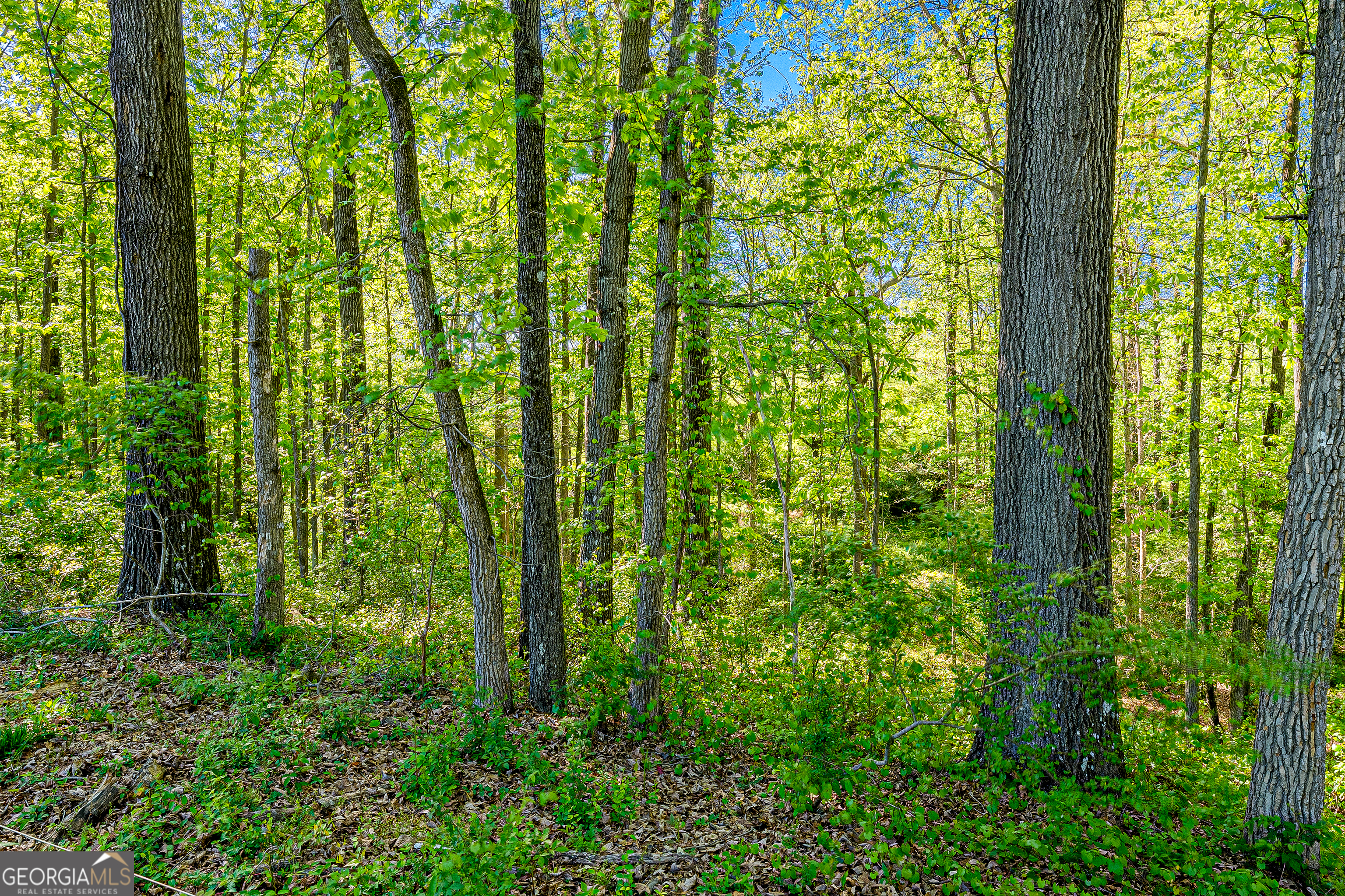 649 Adamstown Road Property Photo 10