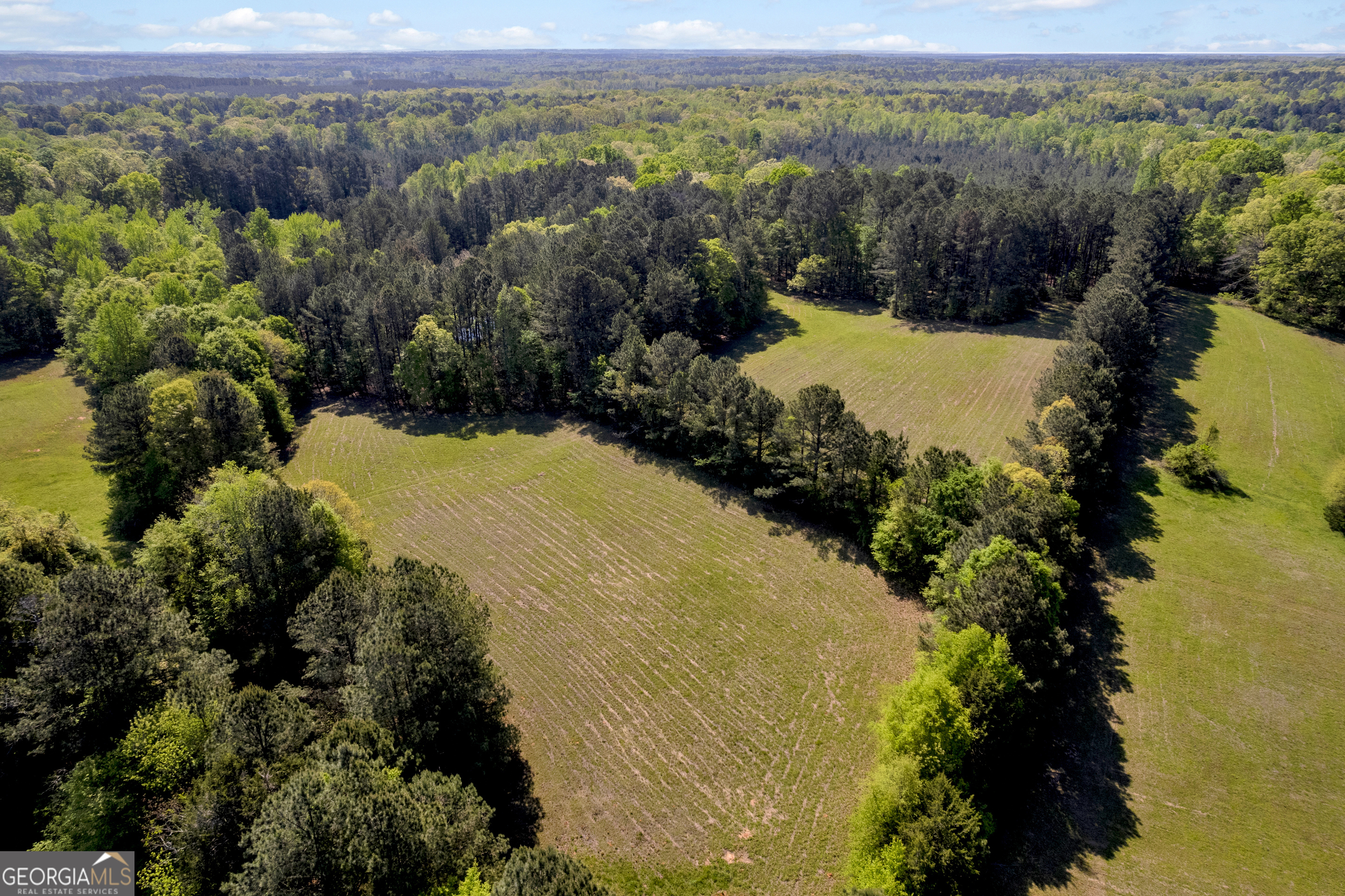 1025 Rocky Plains Road Property Photo 10