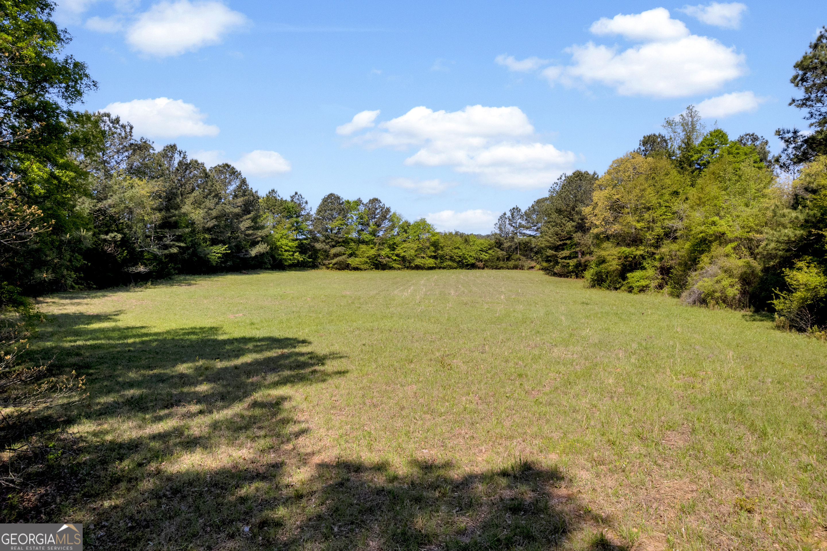 1025 Rocky Plains Road Property Photo 12