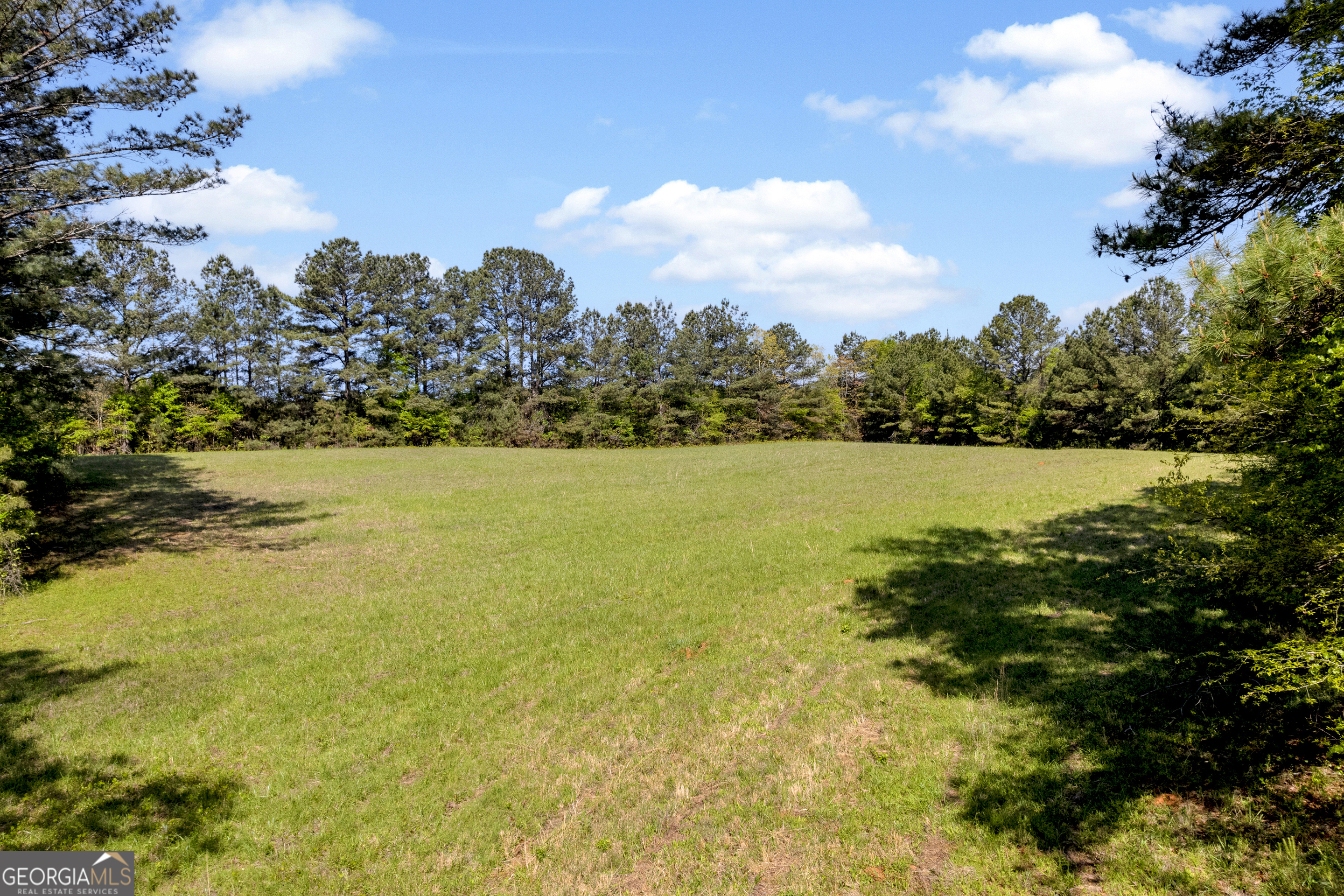 1025 Rocky Plains Road Property Photo 13