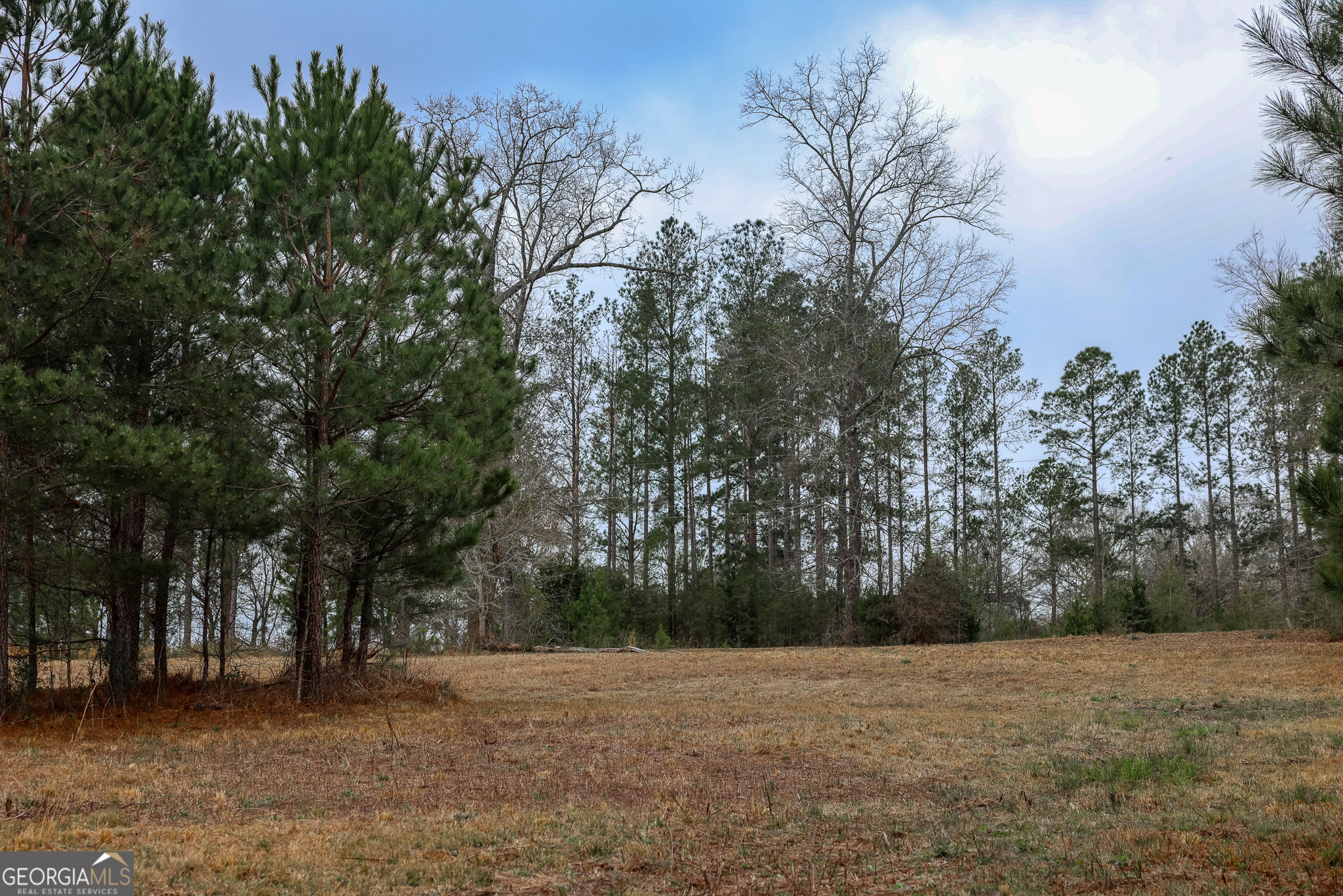 0 Wolf Creek Drive Property Photo 8