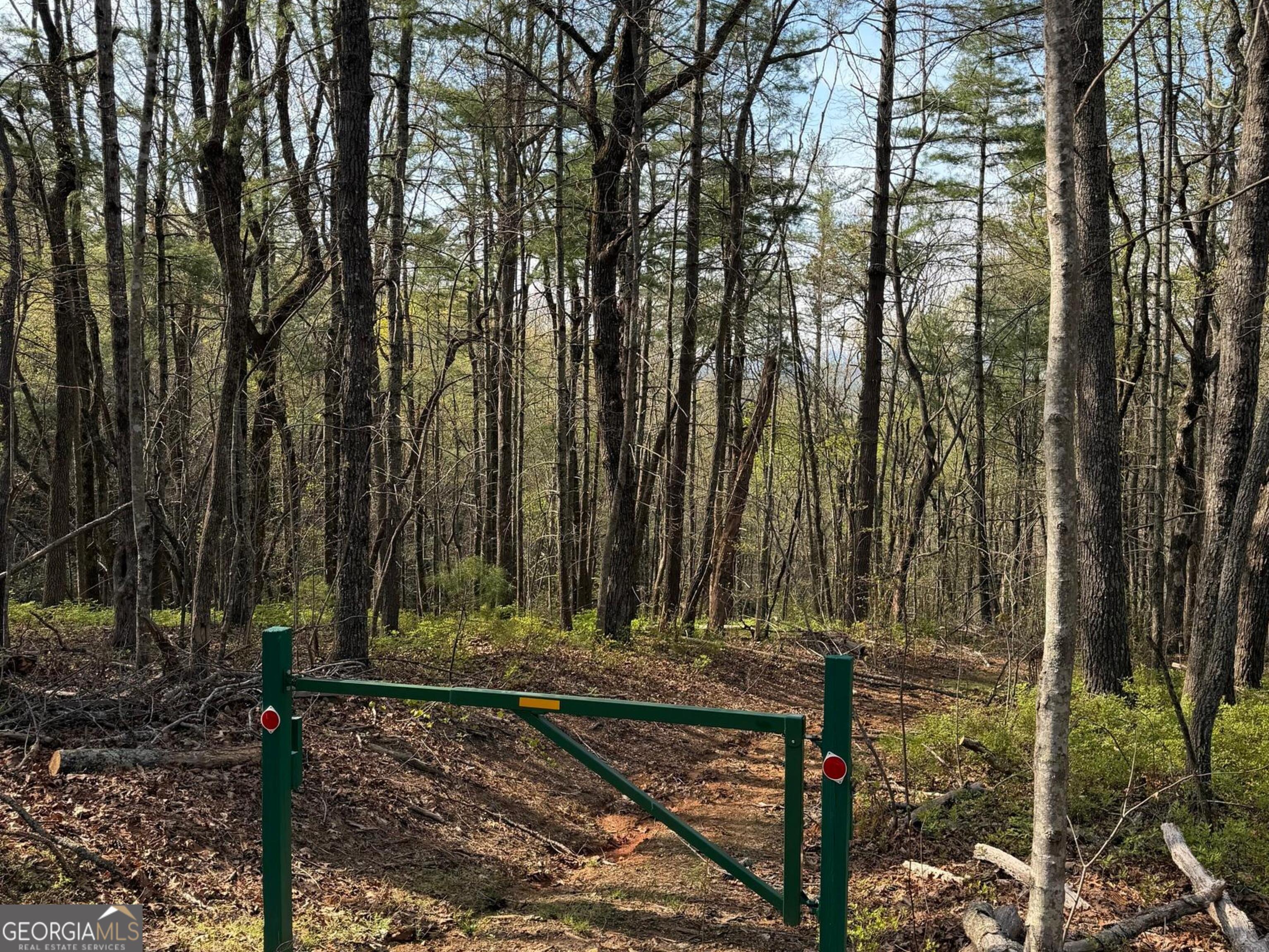 552 Long Laurel Ridge 6.65 Acres Lot 2 Property Photo 3