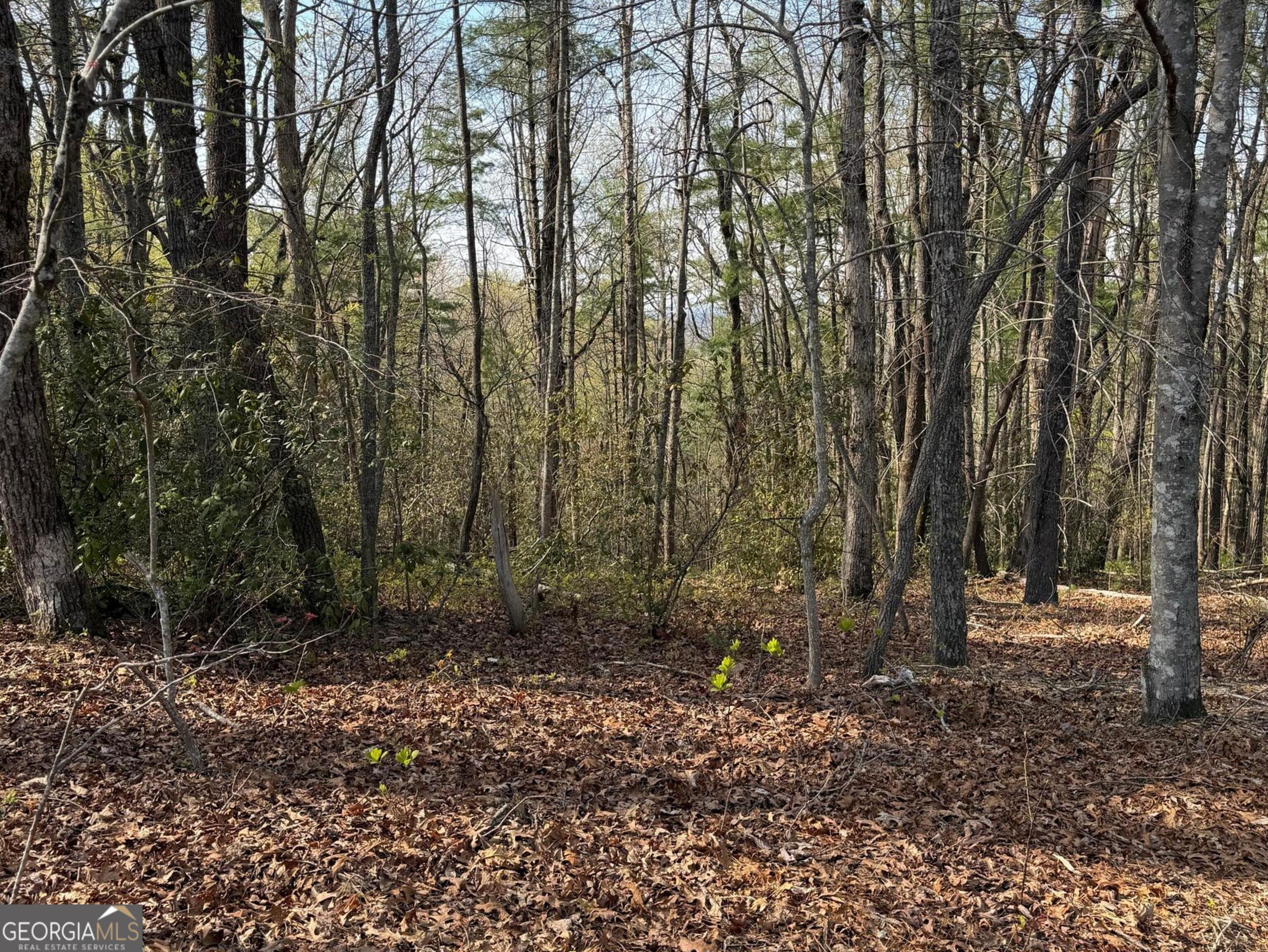 552 Long Laurel Ridge 6.65 Acres Lot 2 Property Photo 4