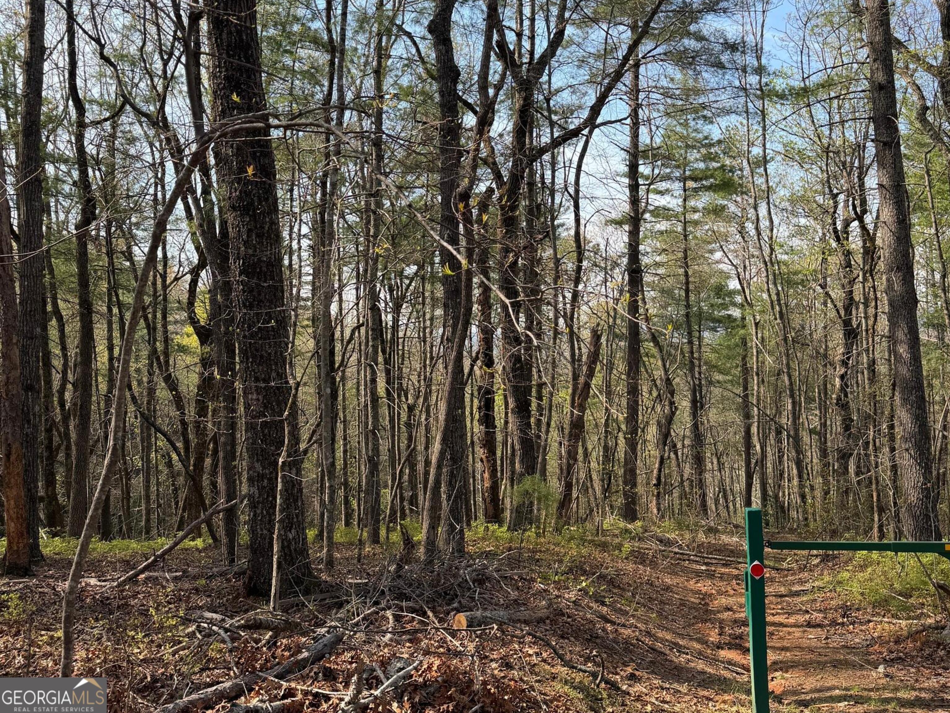 552 Long Laurel Ridge 6.65 Acres Lot 2 Property Photo 5