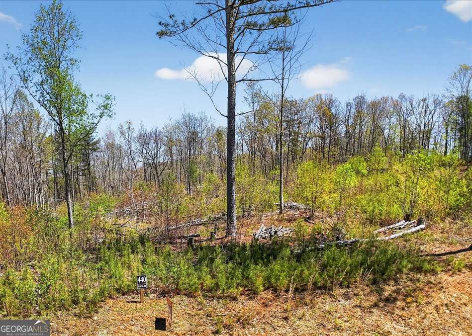 0 Twisted Oak Road Lot 440 Property Photo 2