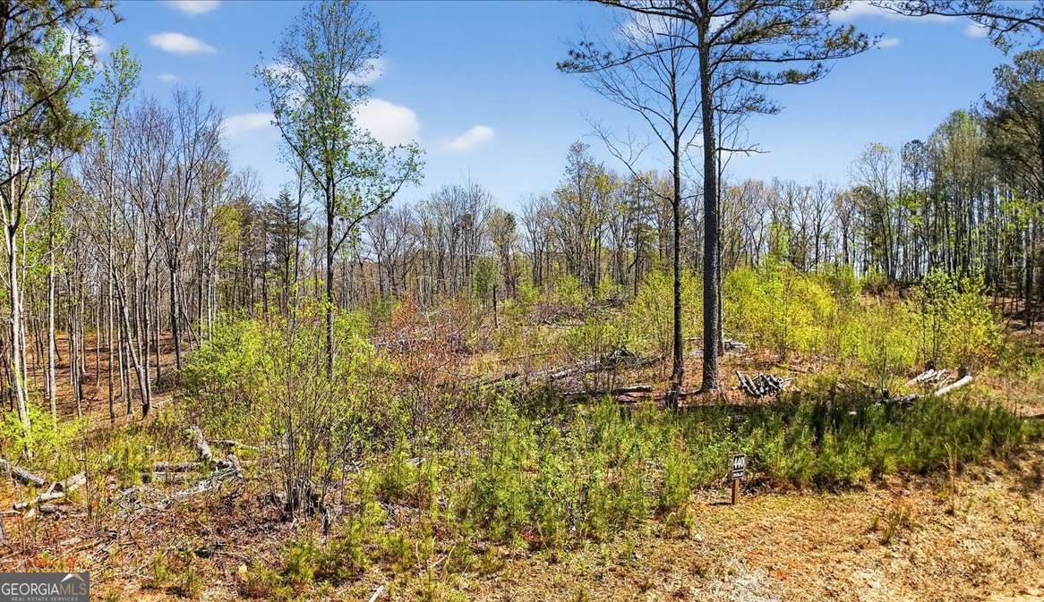 0 Twisted Oak Road Lot 440 Property Photo 3