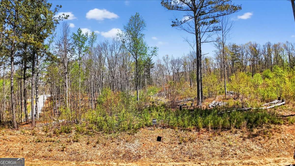 0 Twisted Oak Road Lot 440 Property Photo 4