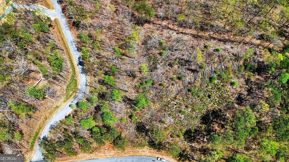 0 Twisted Oak Road Lot 440 Property Photo 5