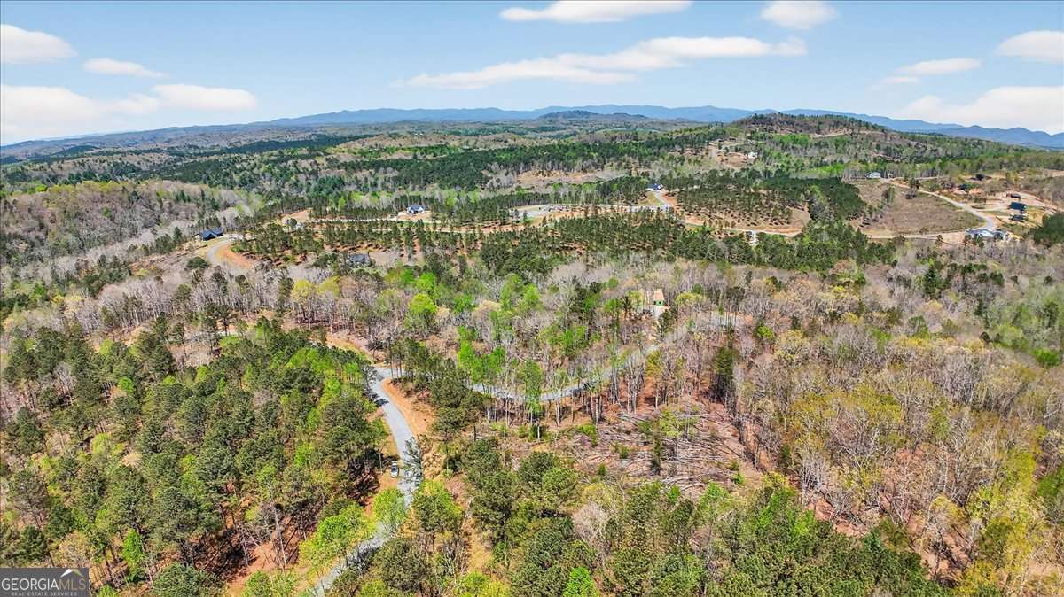 0 Twisted Oak Road Lot 440 Property Photo 7