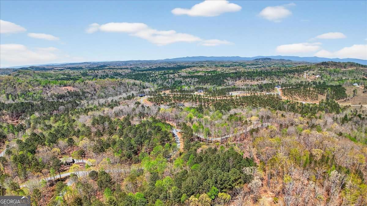 0 Twisted Oak Road Lot 440 Property Photo 9
