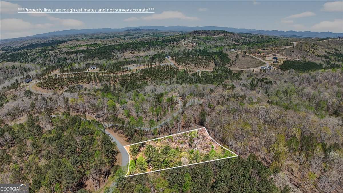 0 Twisted Oak Road Lot 440 Property Photo 10