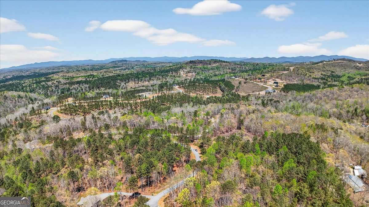 0 Twisted Oak Road Lot 440 Property Photo 11