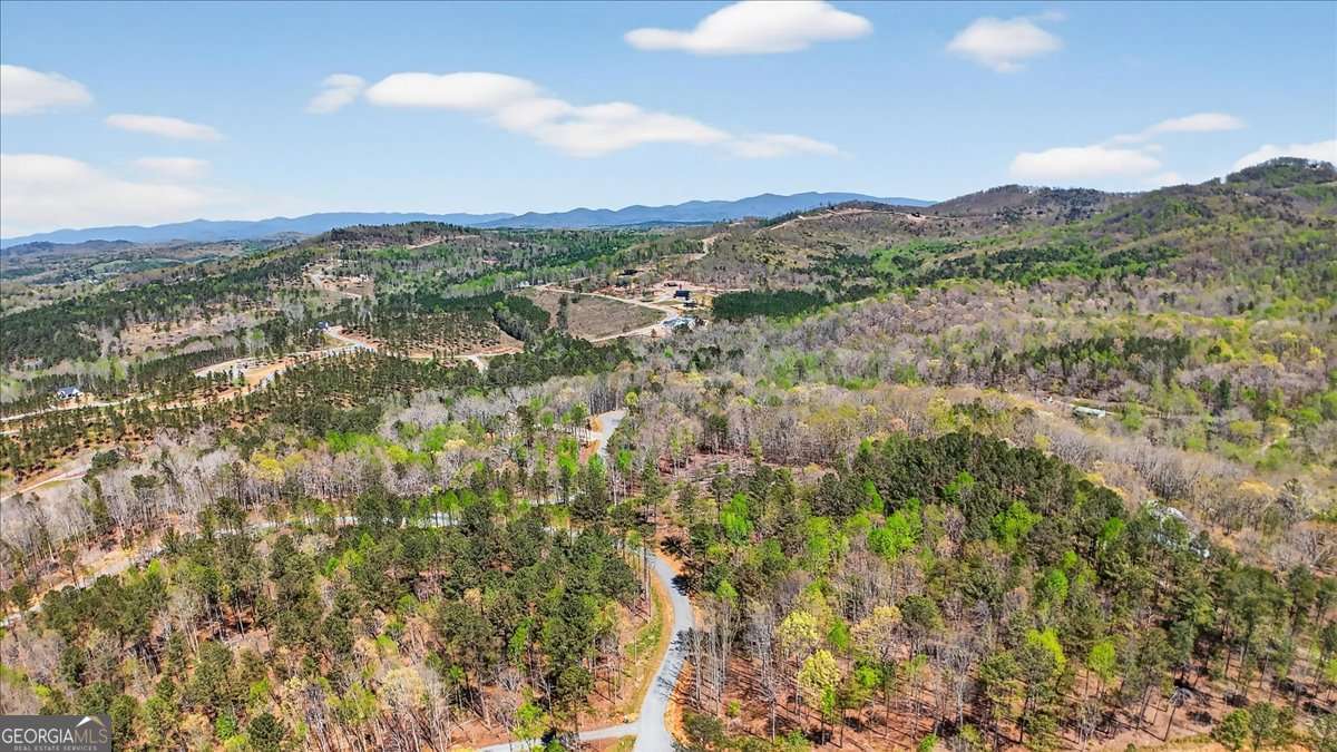 0 Twisted Oak Road Lot 440 Property Photo 12
