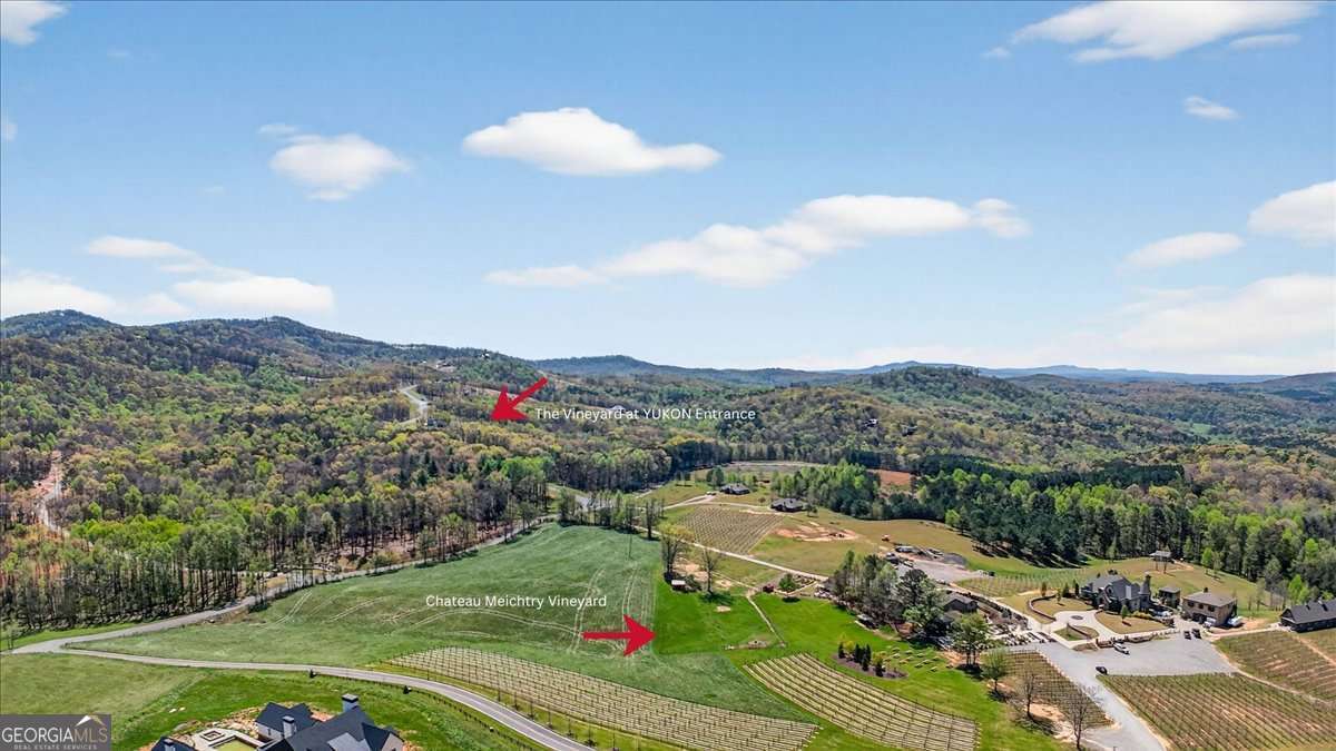 0 Twisted Oak Road Lot 440 Property Photo 13