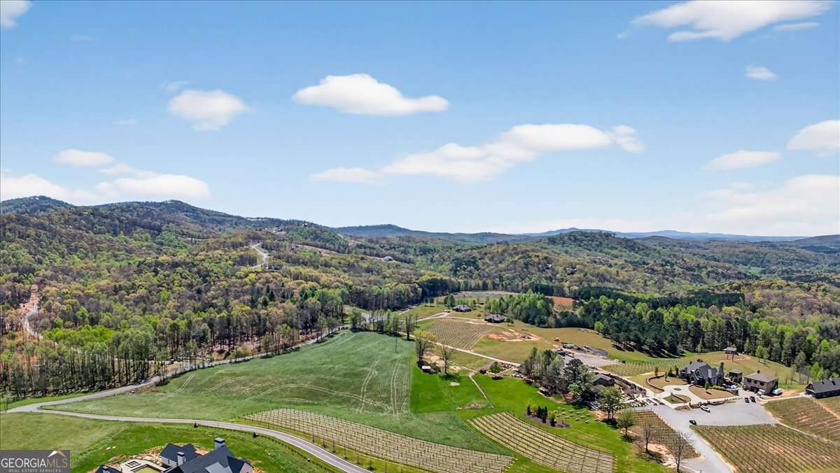 0 Twisted Oak Road Lot 440 Property Photo 14