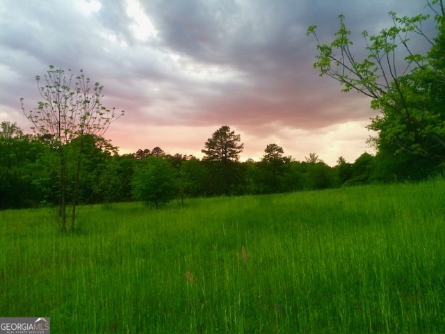 4424 Ansley Road Property Photo 54