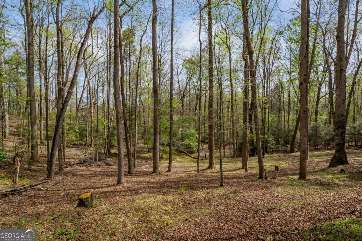 159 Pack Creek Road Property Photo 3