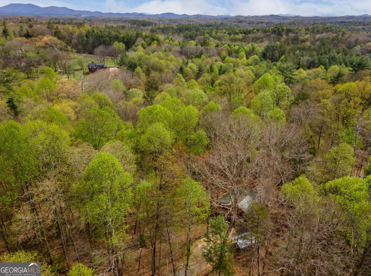 159 Pack Creek Road Property Photo 10