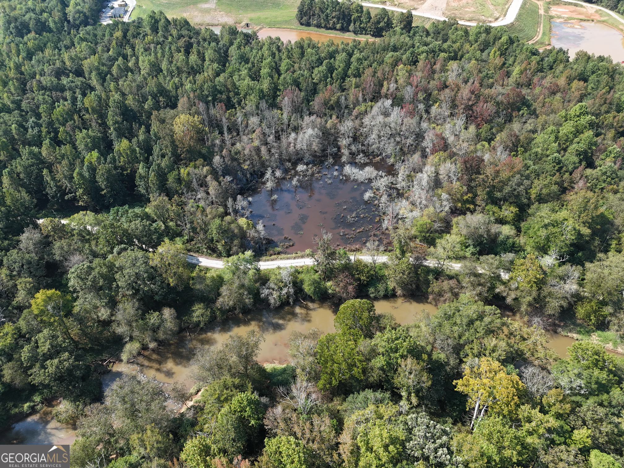 51 Highway 78 Property Photo 4