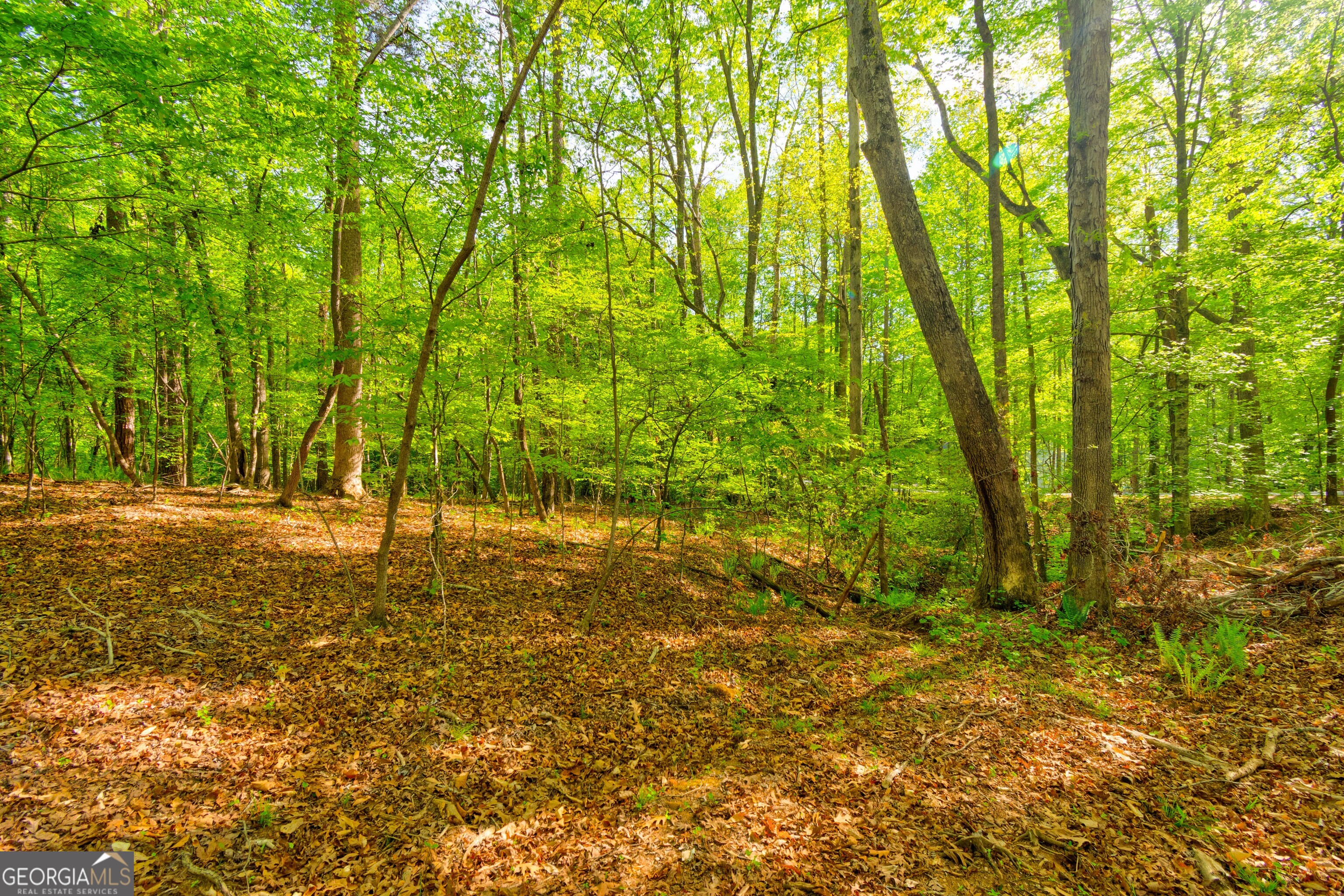 4033 Hidden Hollow Drive Property Photo 1