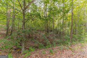 4033 Hidden Hollow Drive Property Photo 3