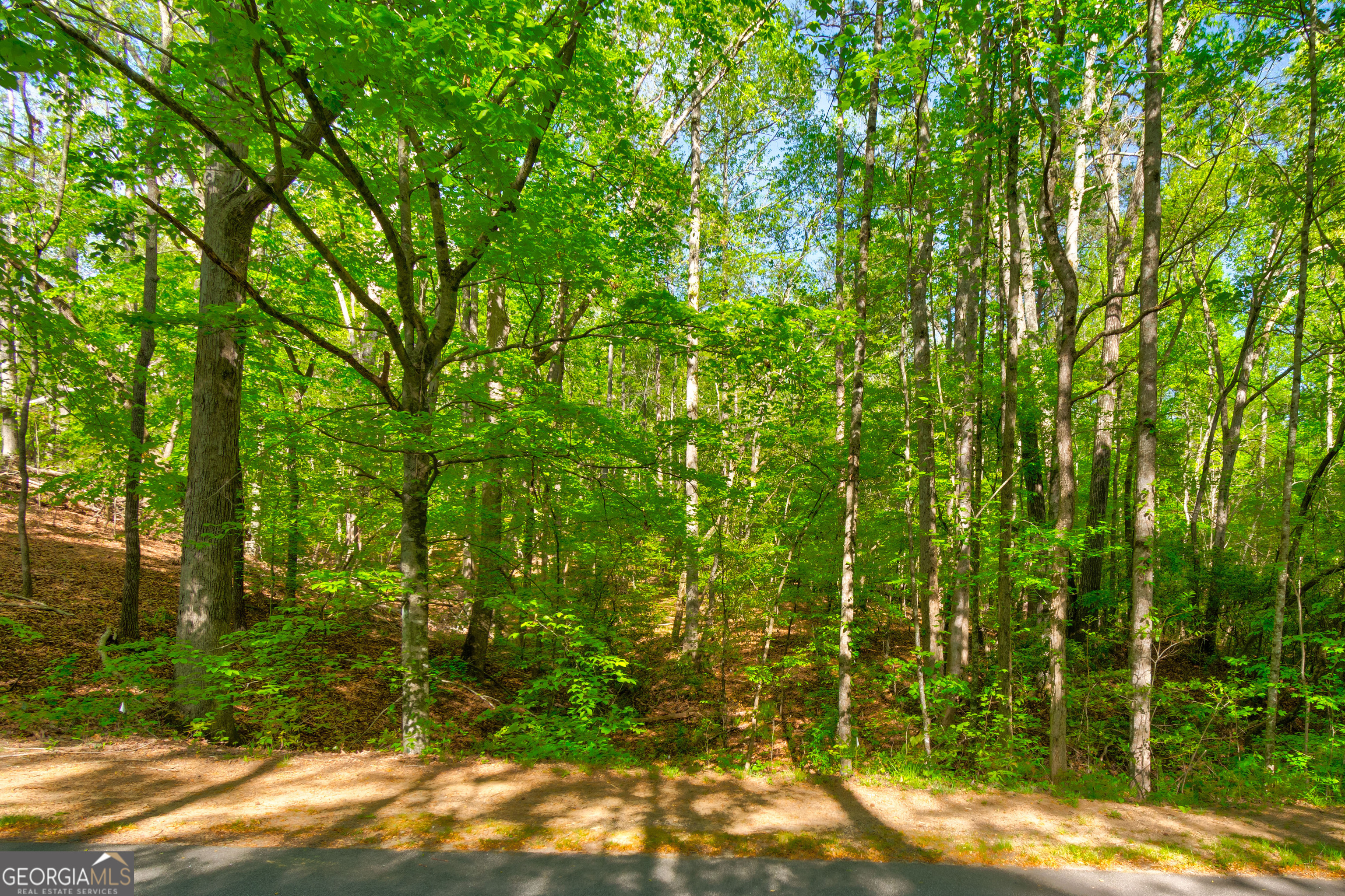 4033 Hidden Hollow Drive Property Photo 8