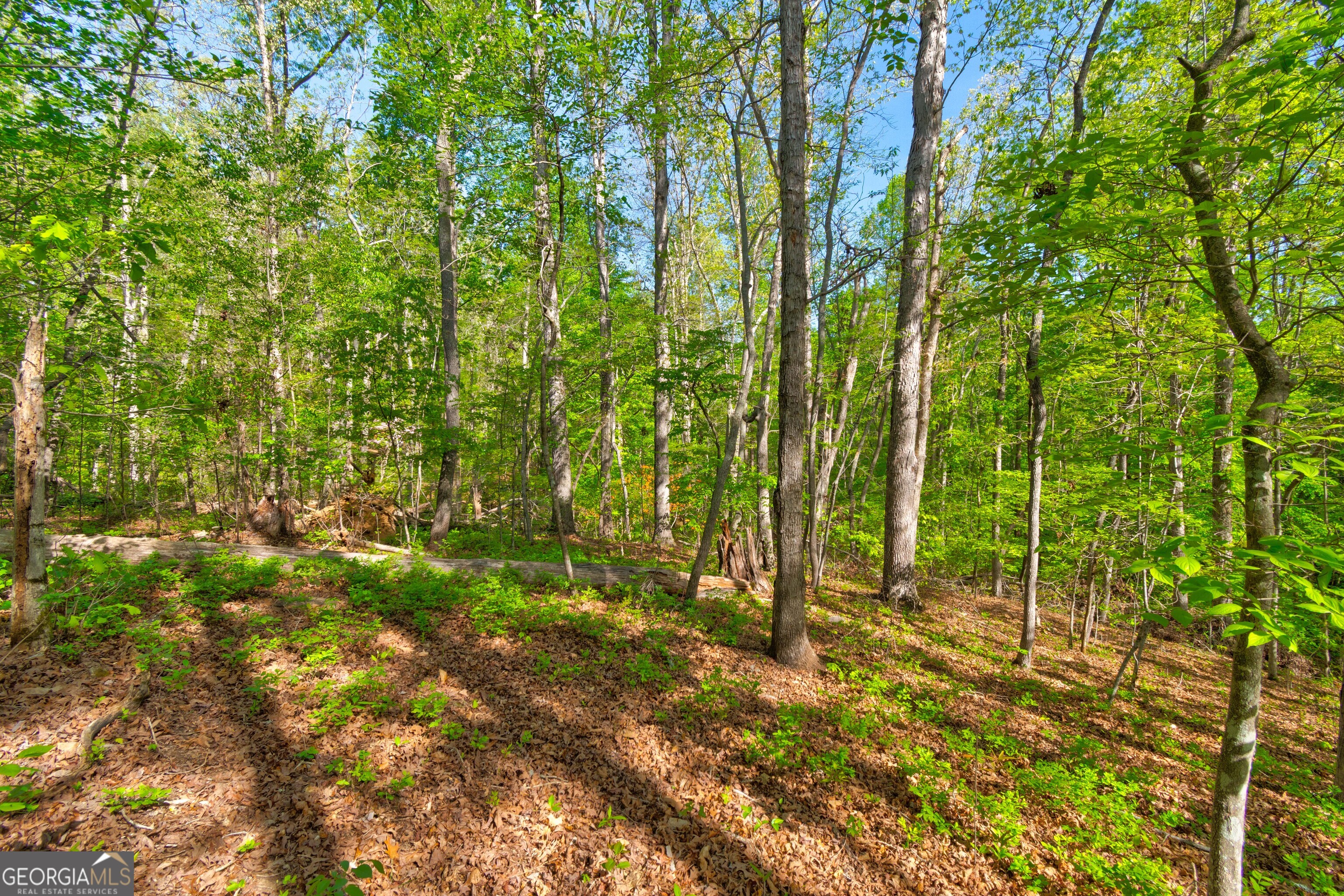 4033 Hidden Hollow Drive Property Photo 12