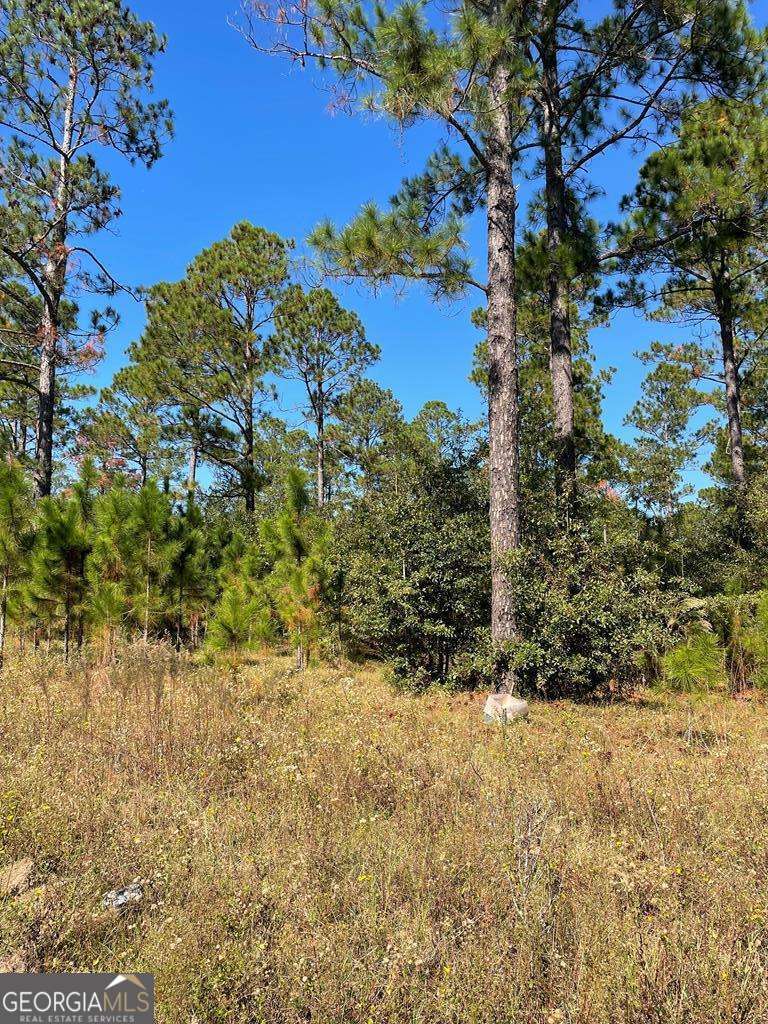 0 Hwy 292 Property Photo 2