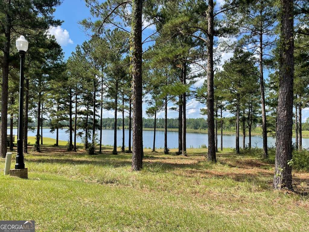 0 Thompson Level Road Property Photo 4