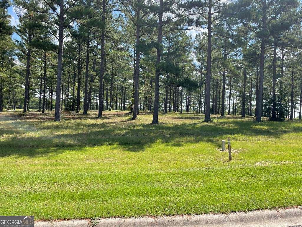 0 Thompson Level Road Property Photo 5