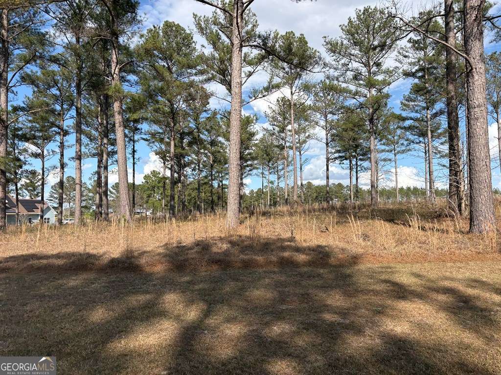 600 Thompson Level Road Property Photo 4